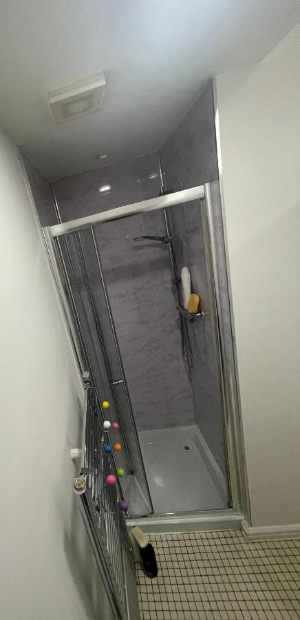 Apartament Luton Short Term Lets - Cardiff Road Zewnętrze zdjęcie